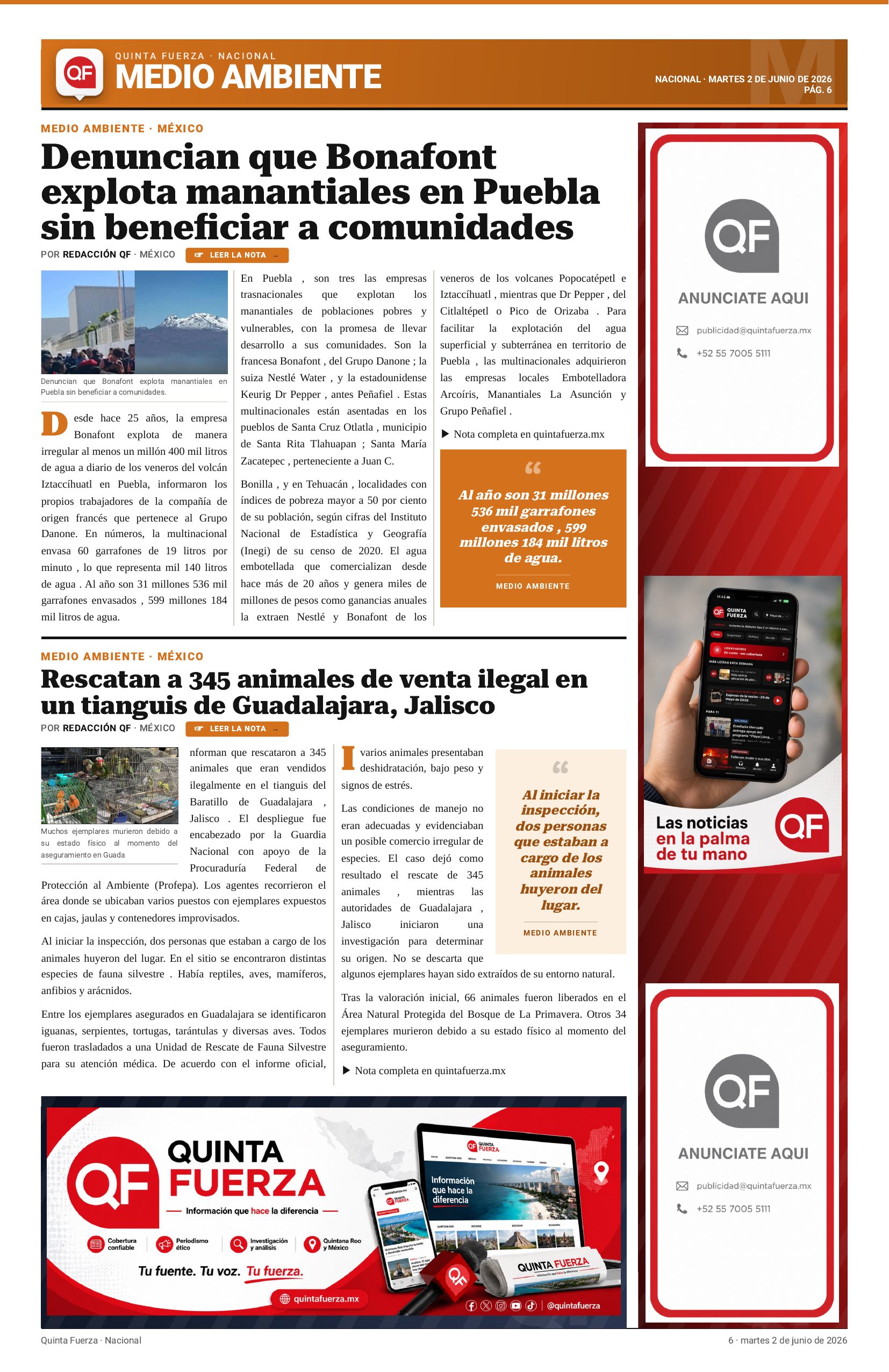 Página 6