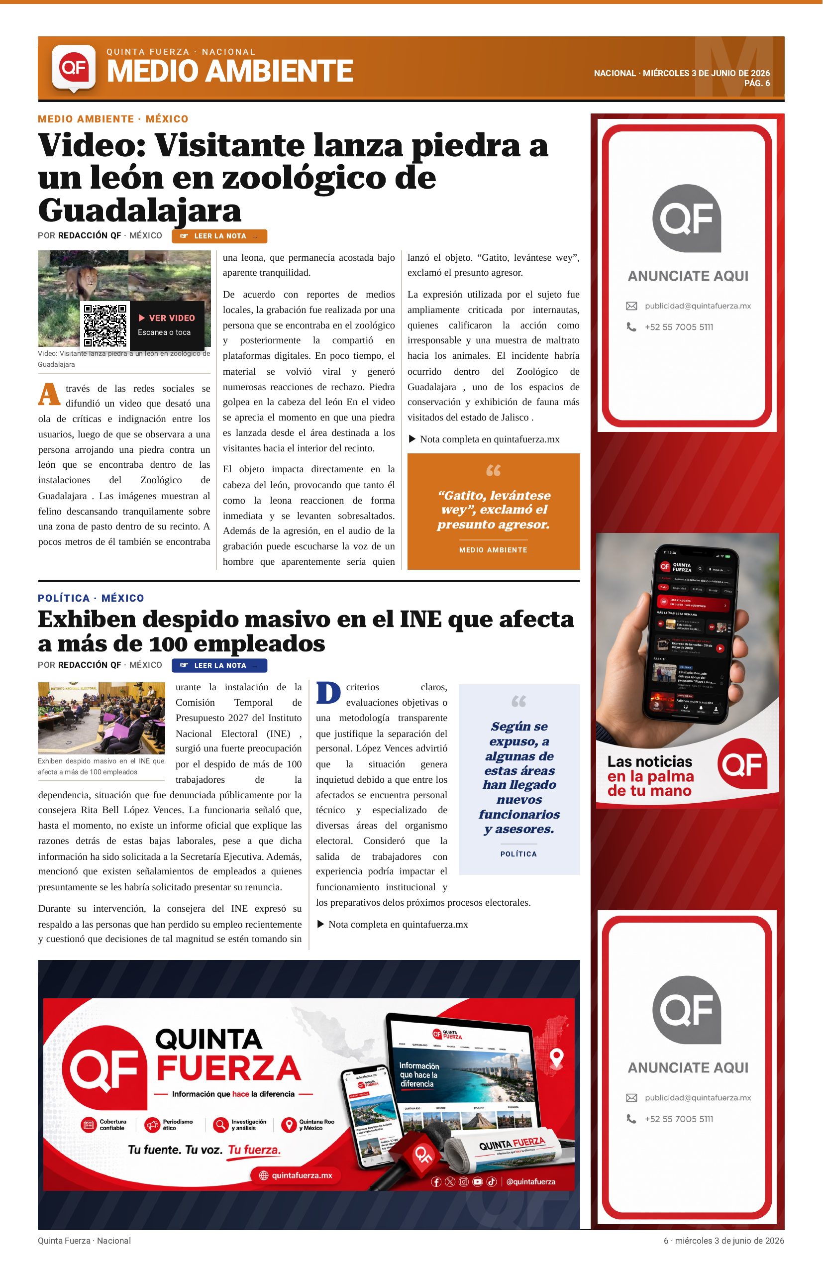Página 6
