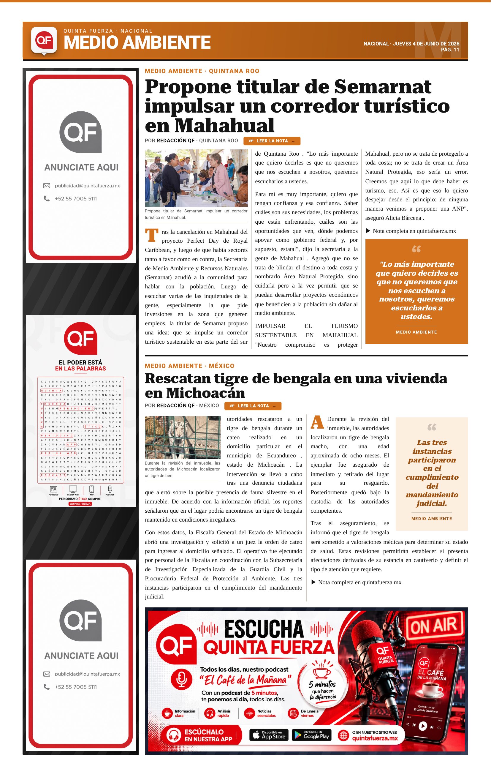 Página 11