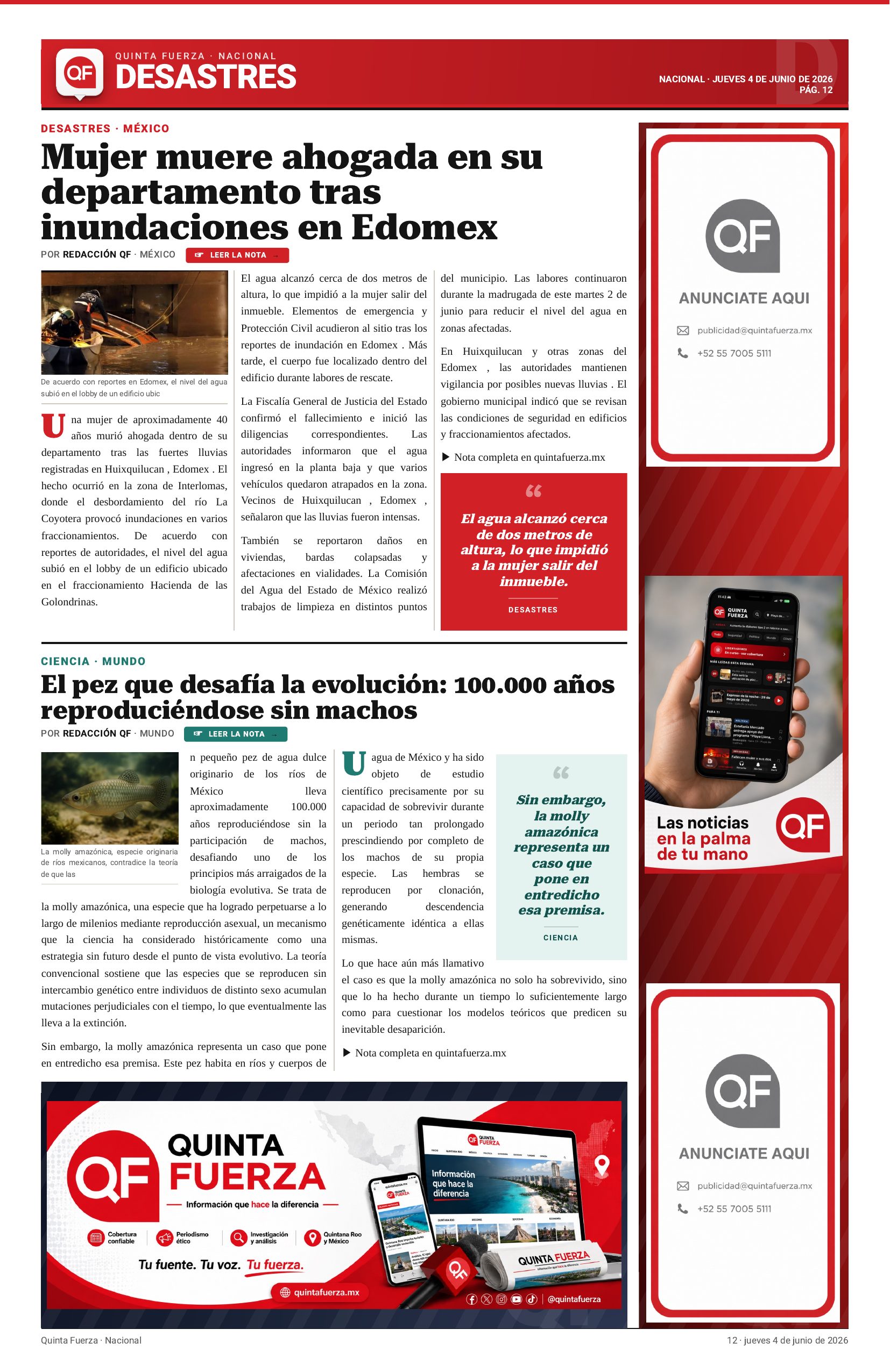 Página 12