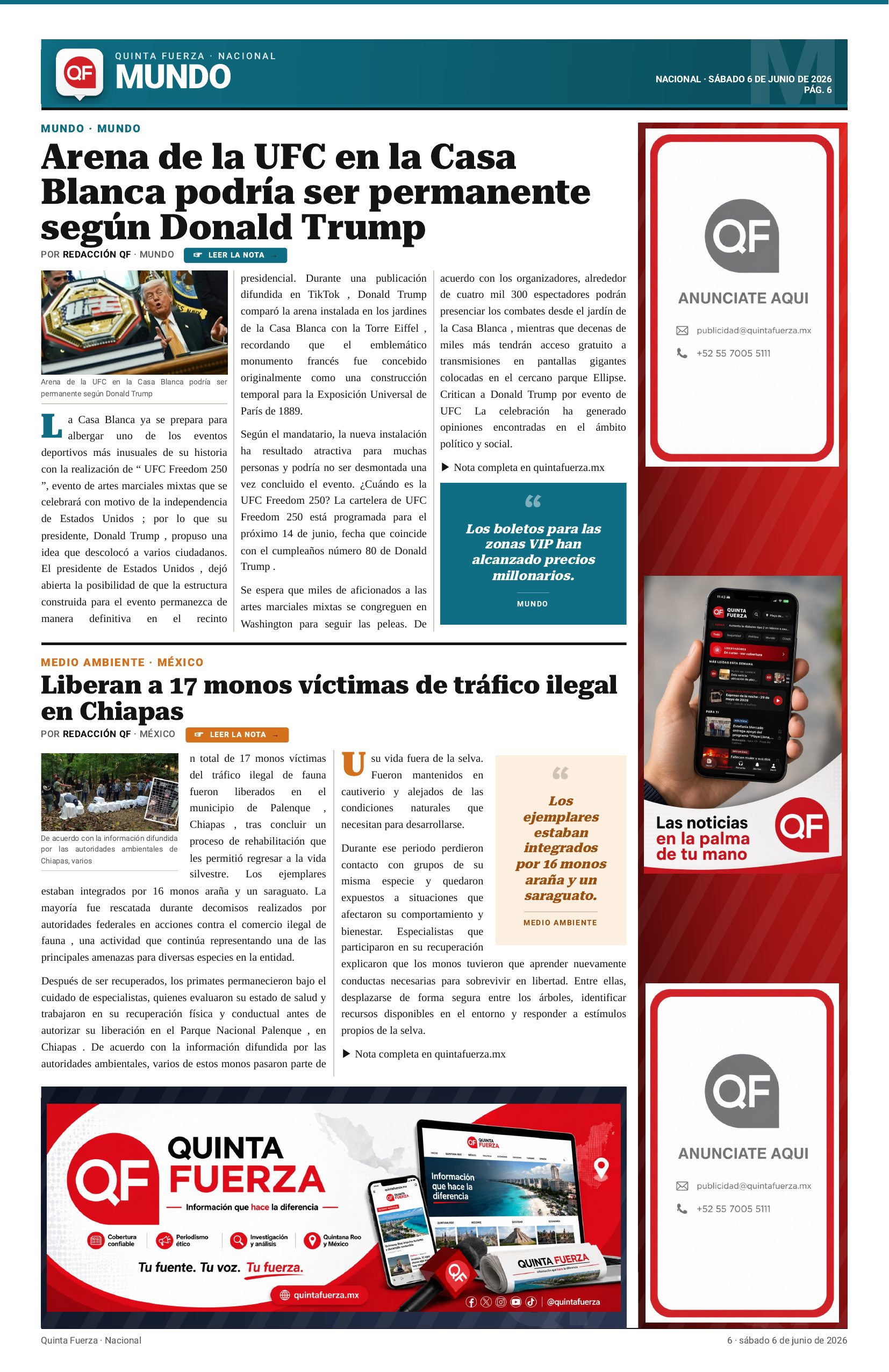 Página 6
