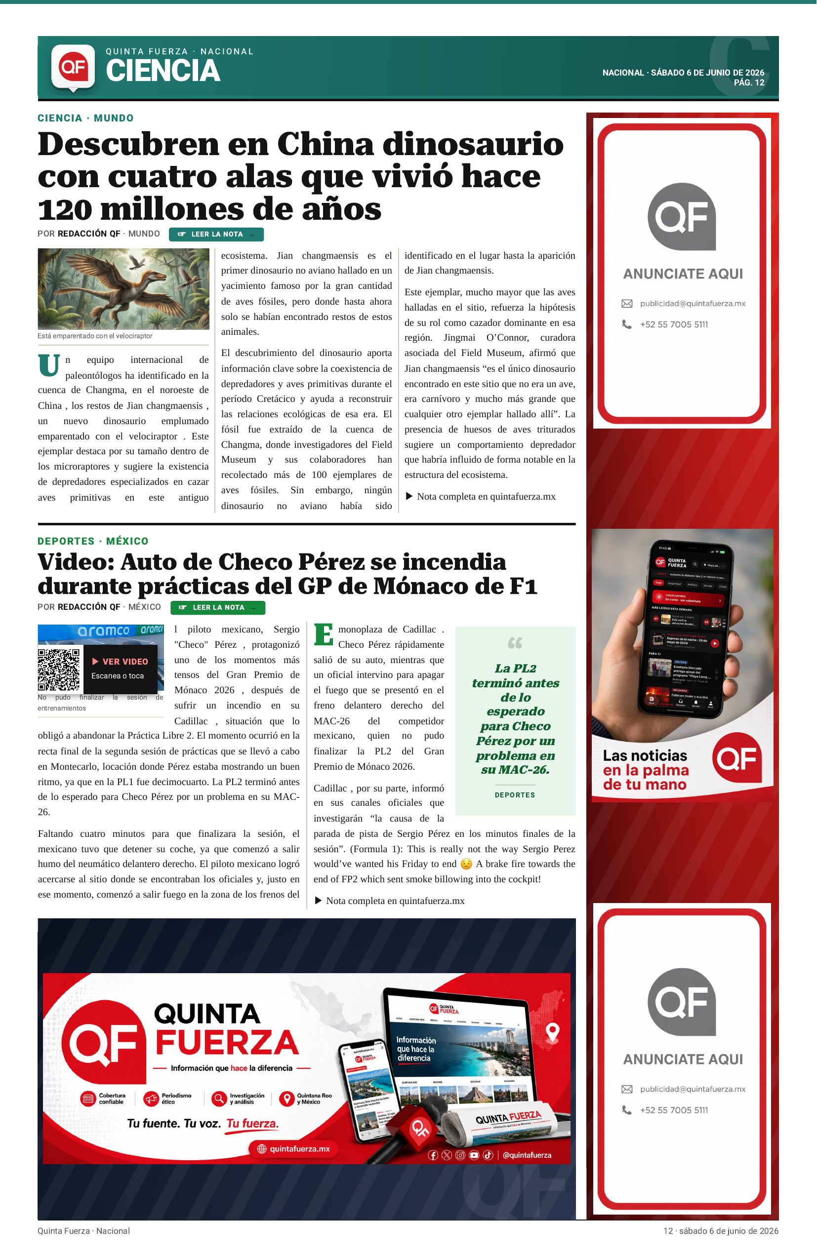 Página 12