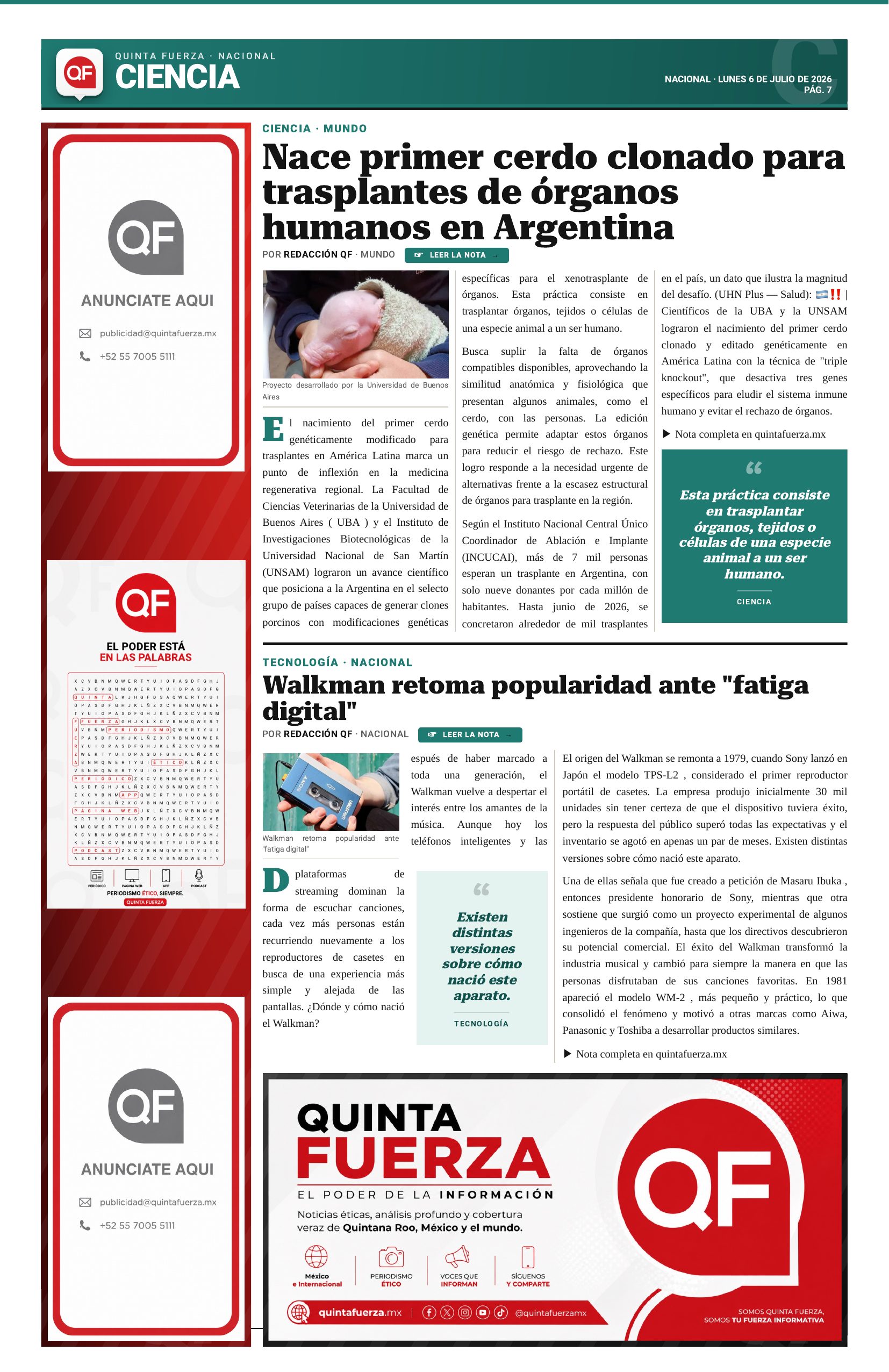 Página 7