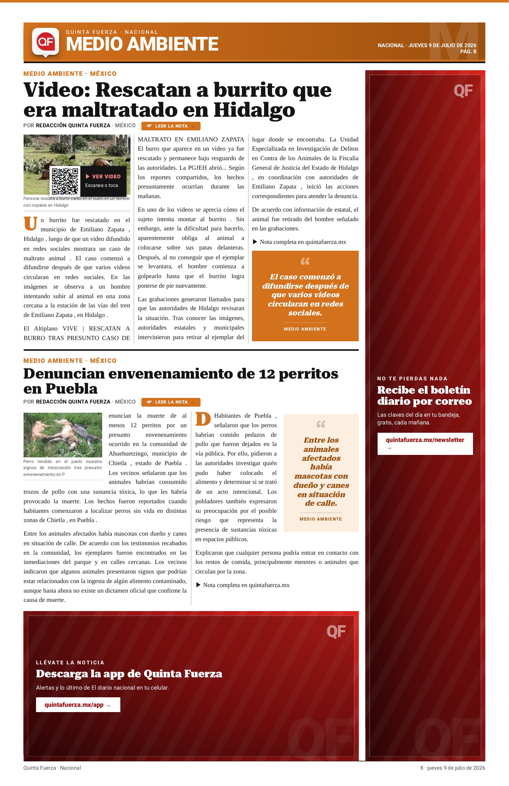 Página 8