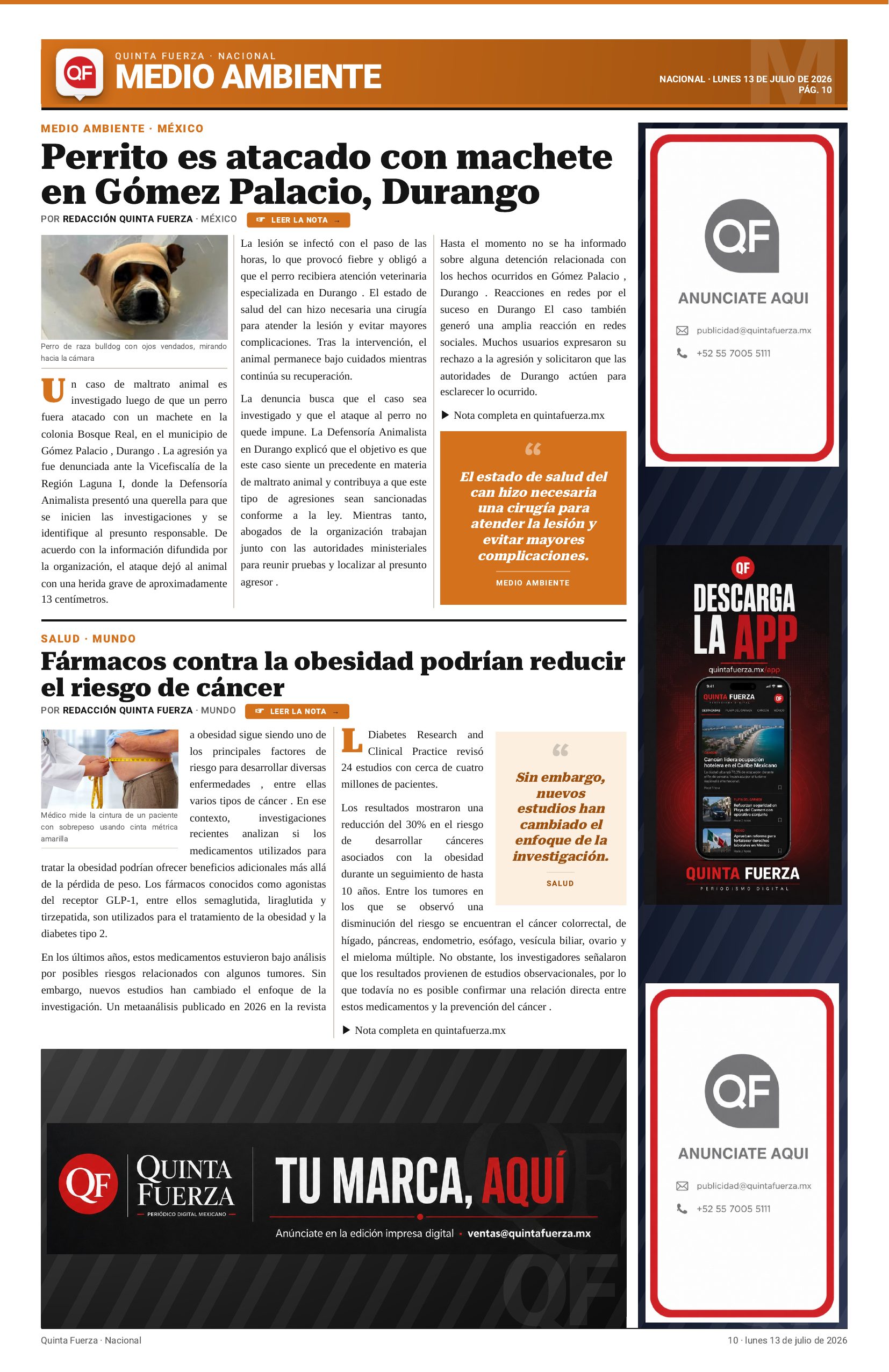 Página 10