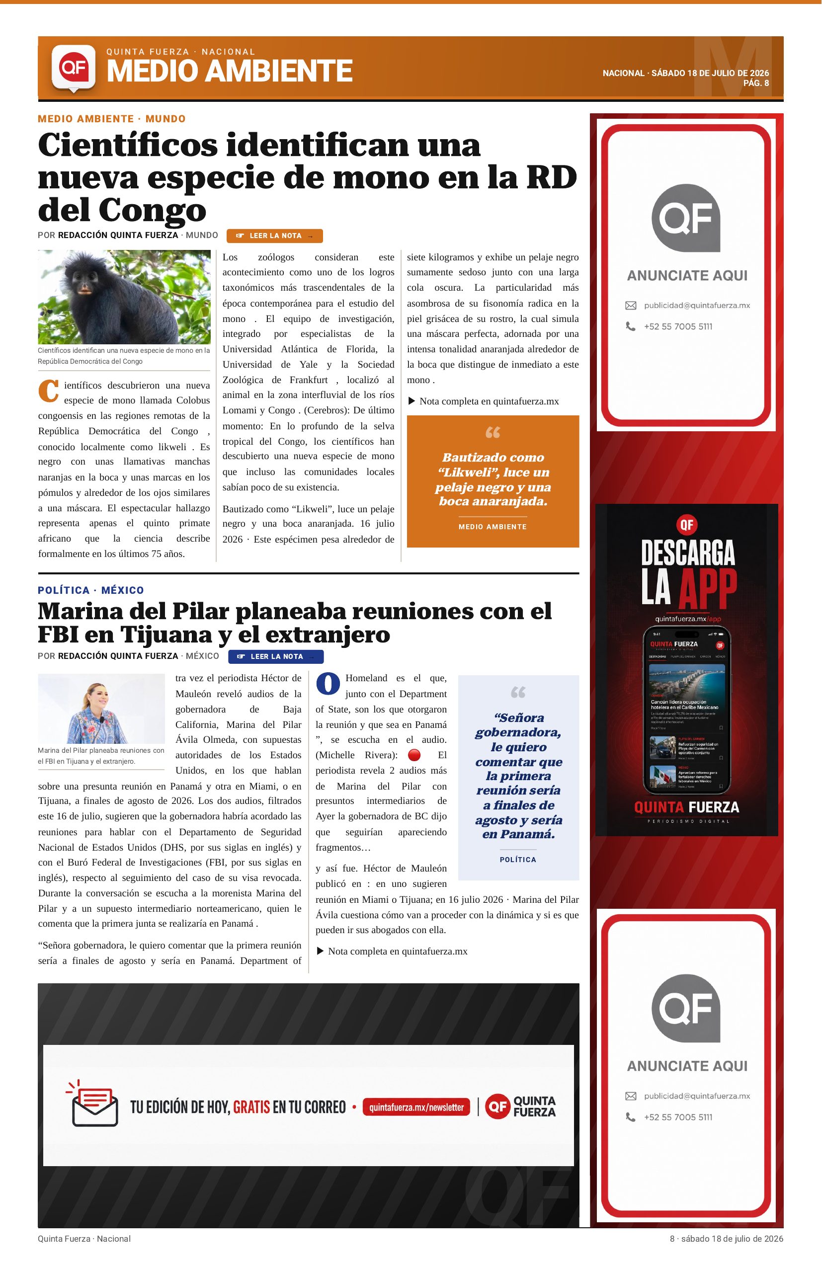 Página 8