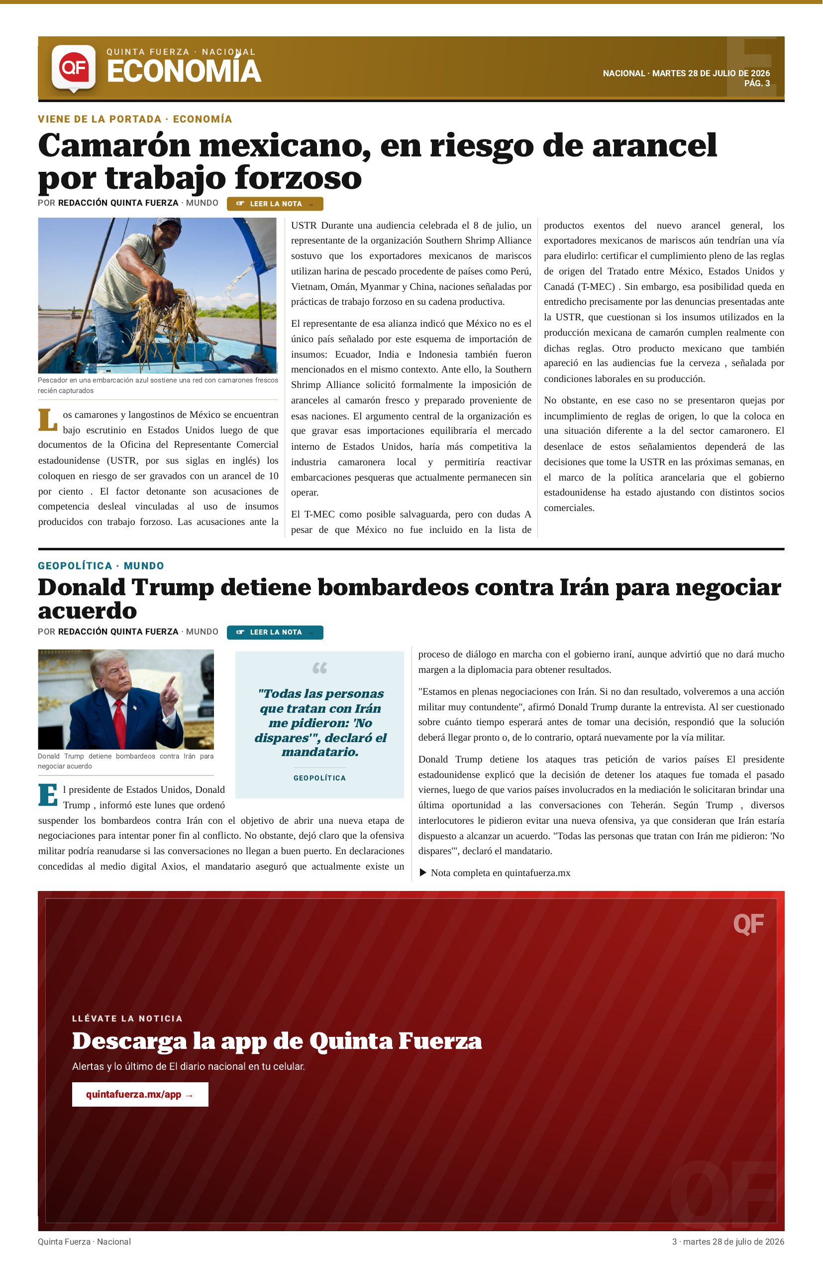 Página 3