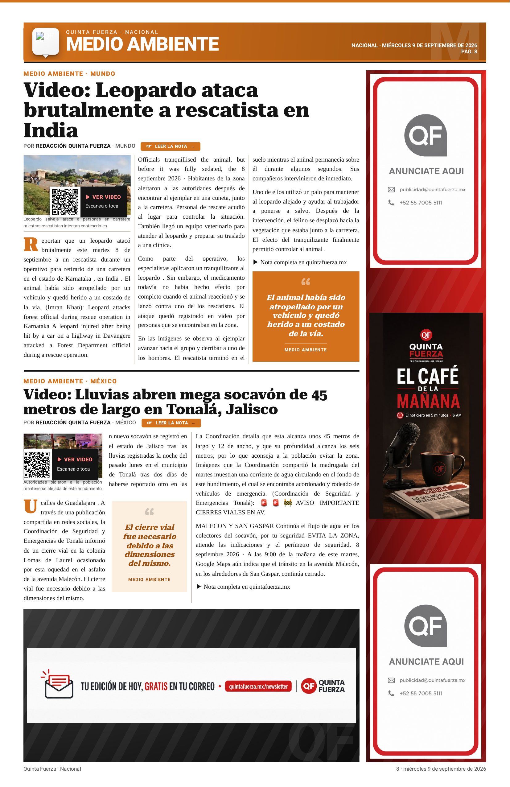 Página 8