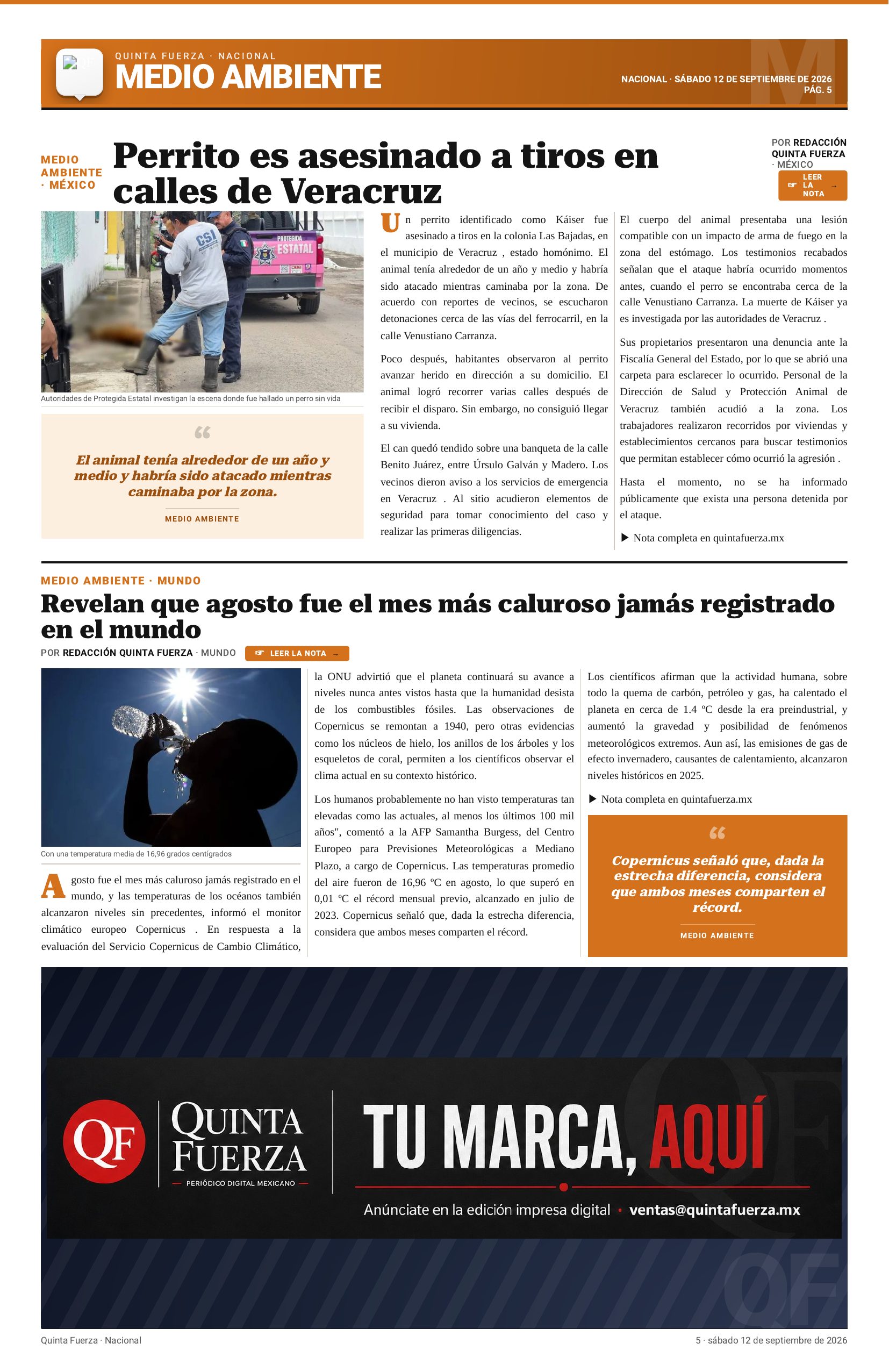 Página 5