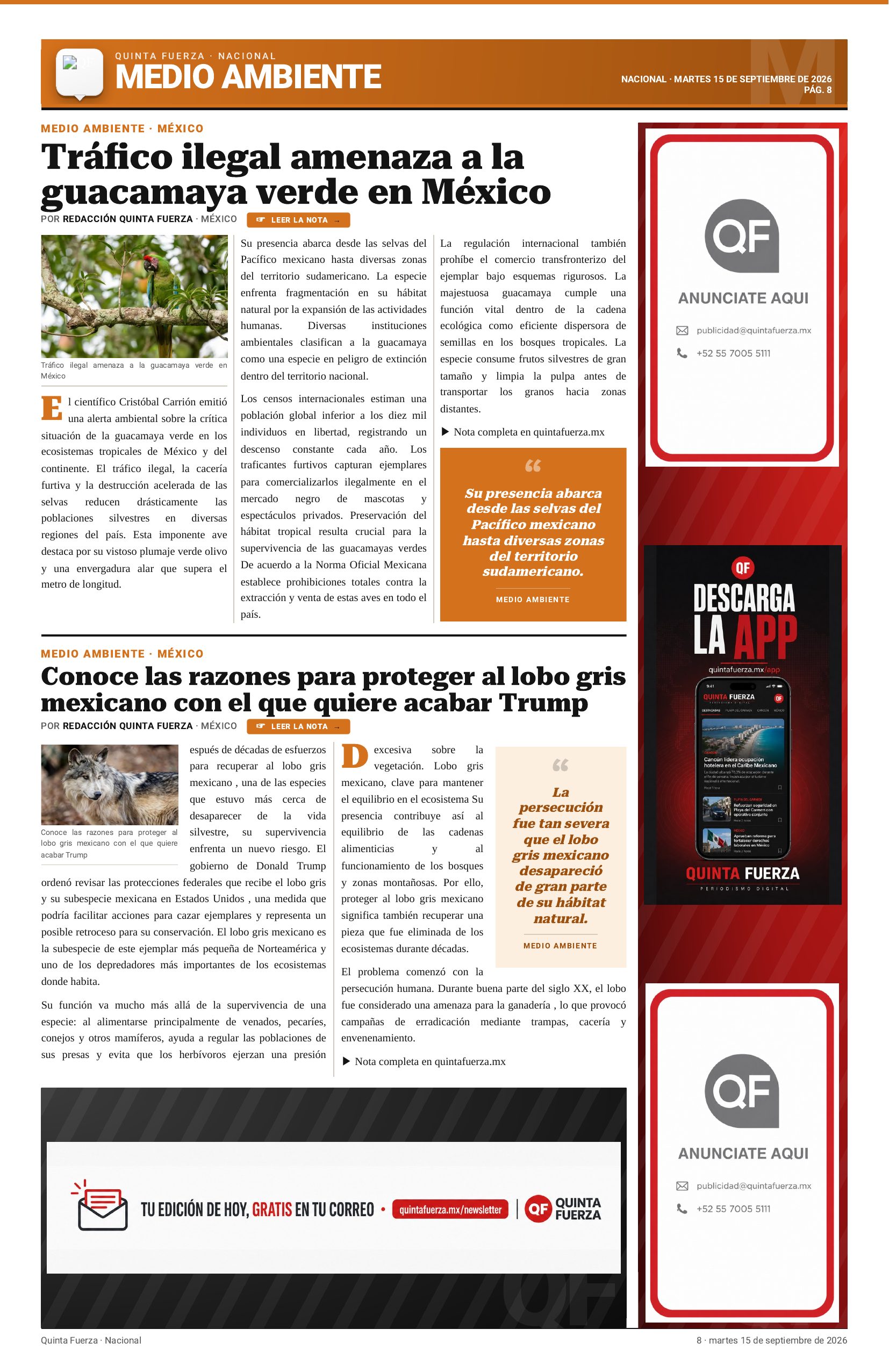 Página 8