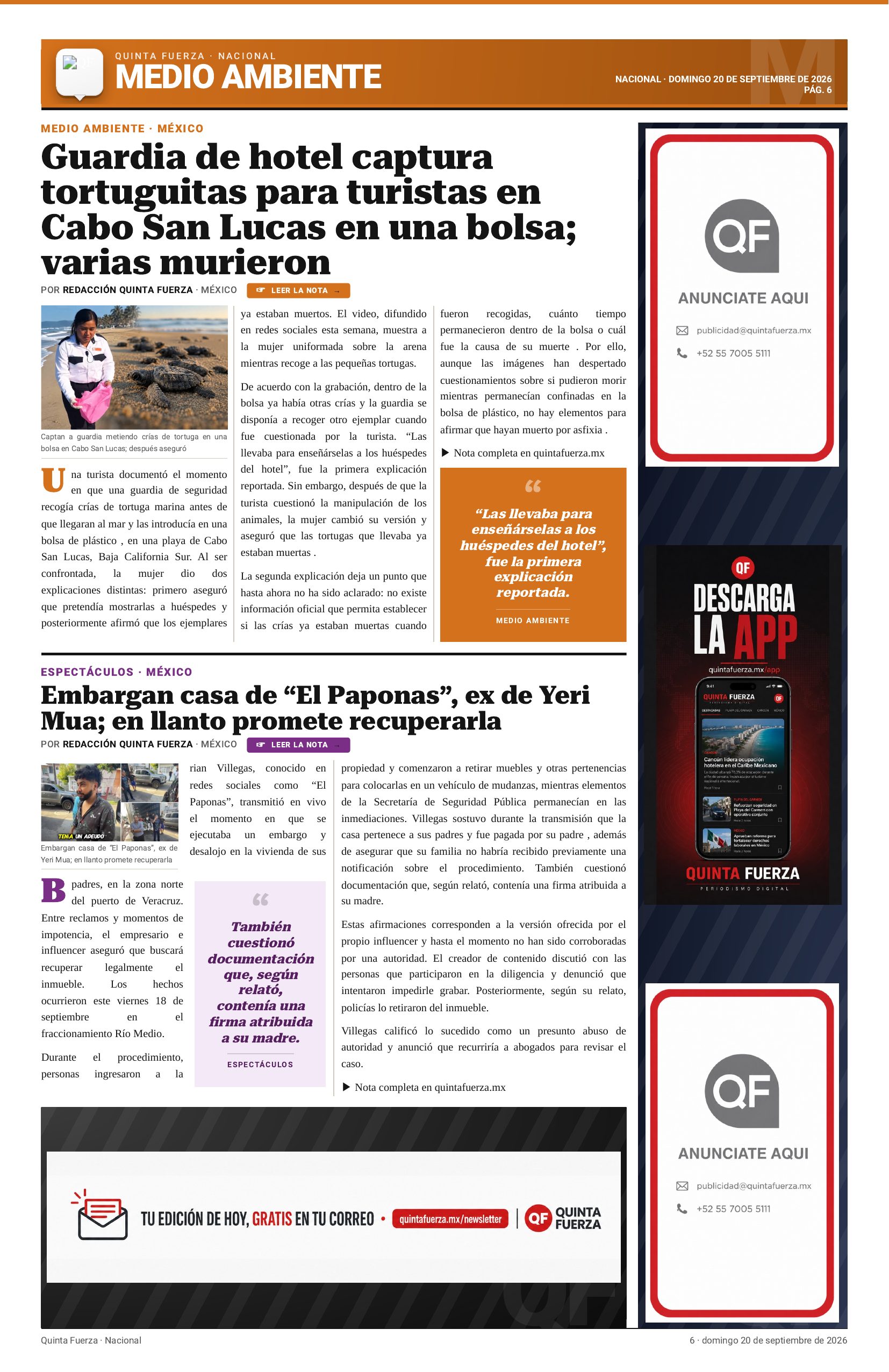 Página 6