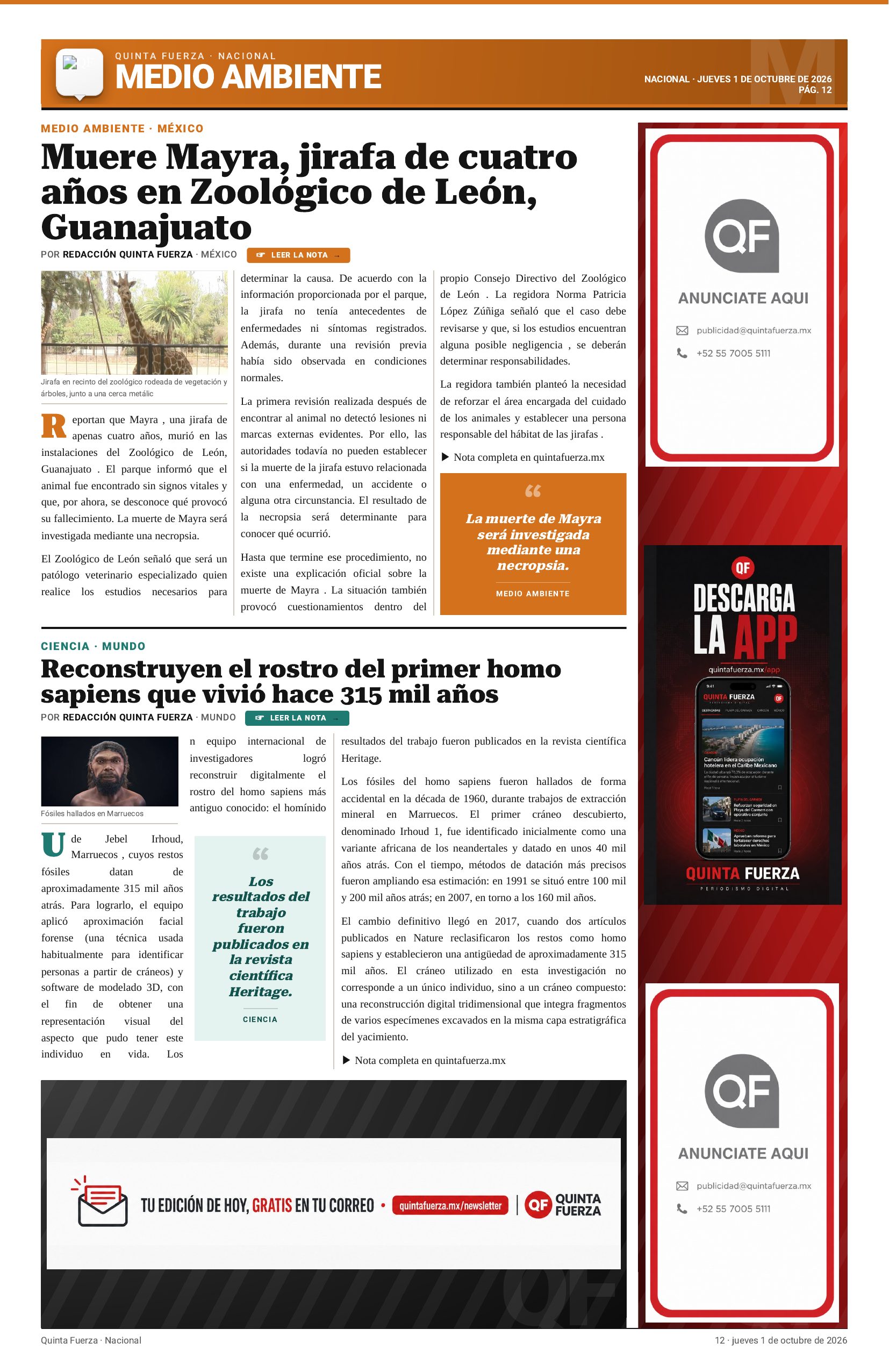 Página 12