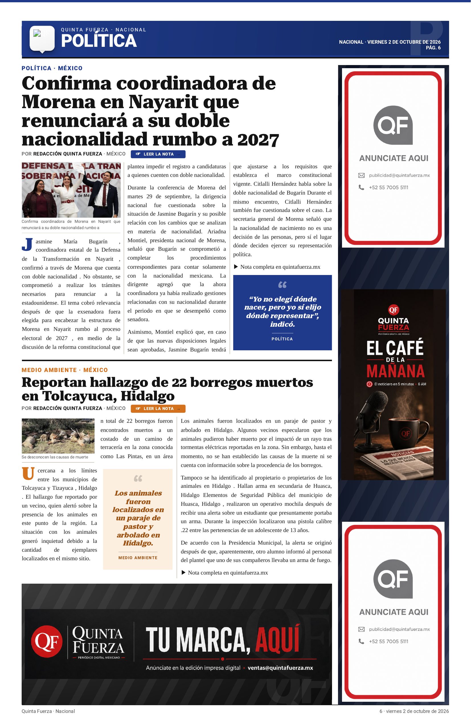 Página 6