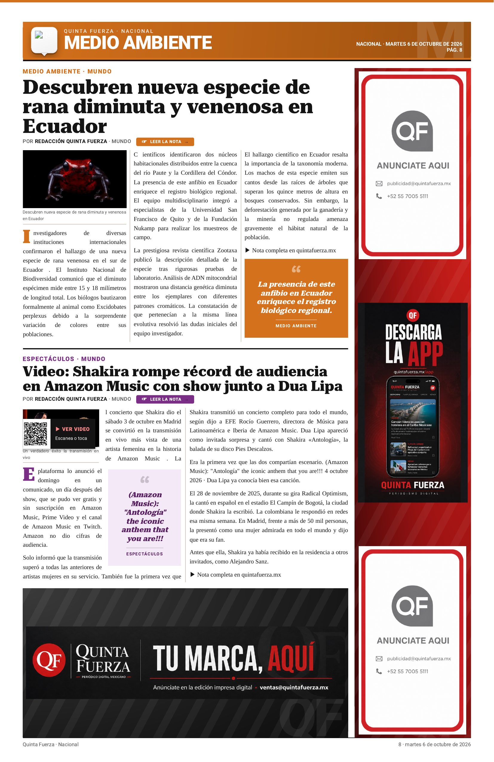 Página 8