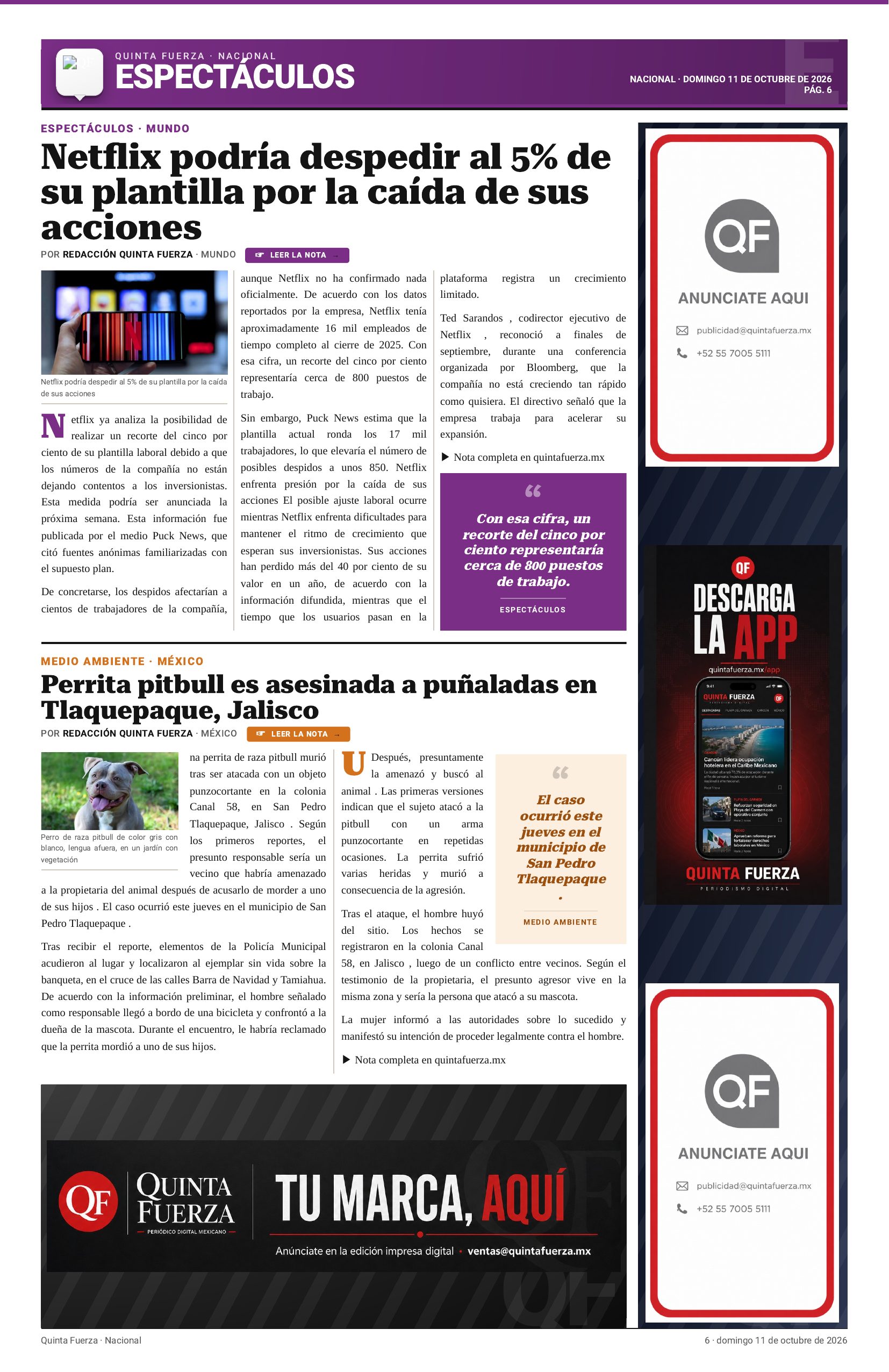 Página 6