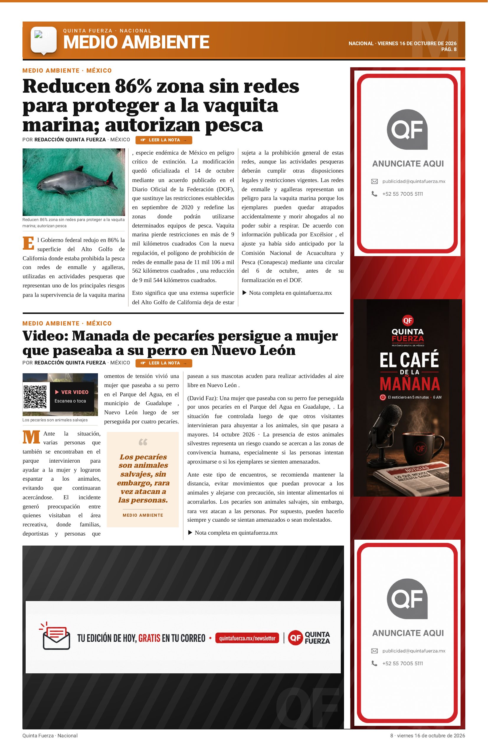 Página 8