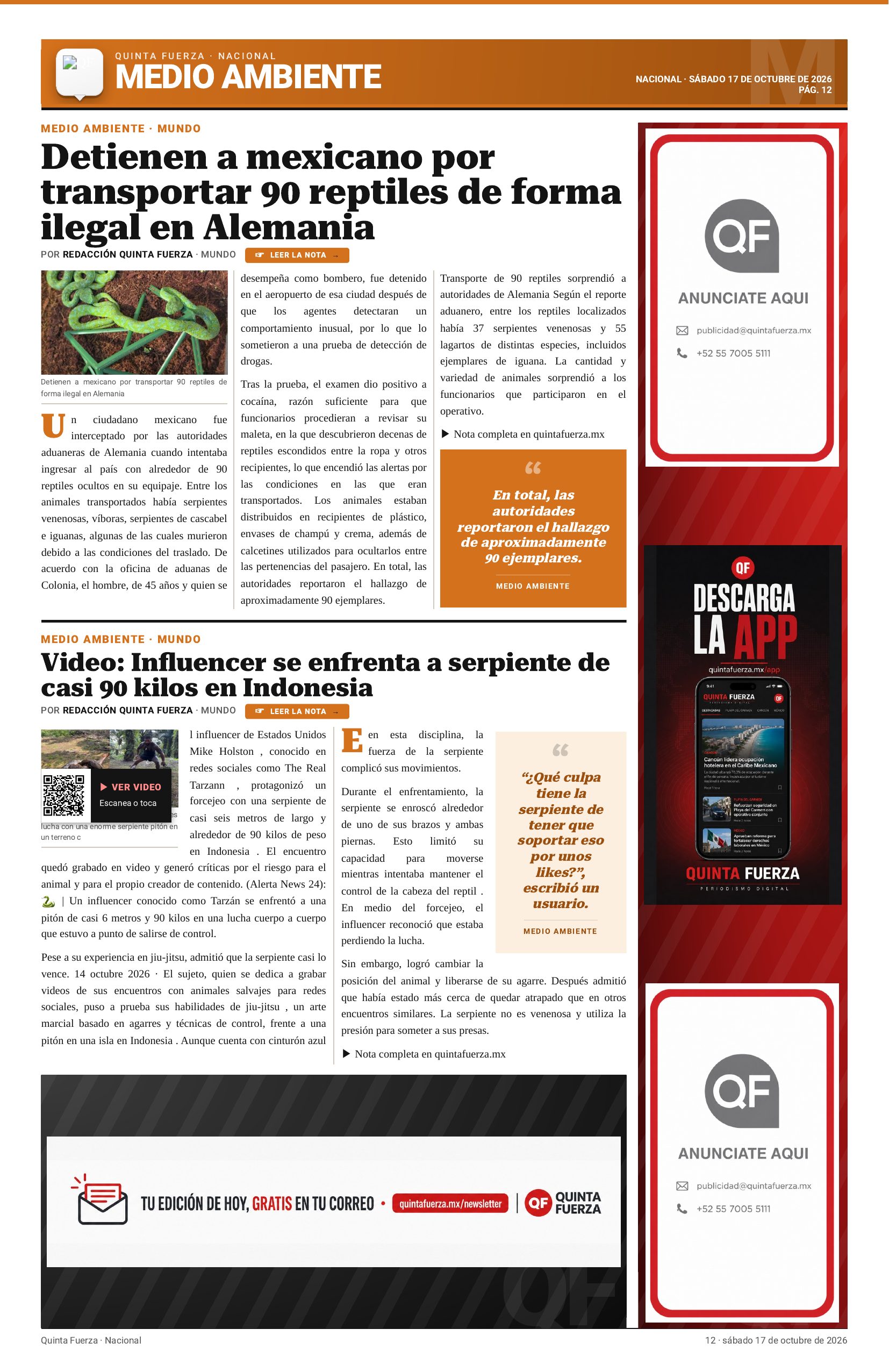 Página 12