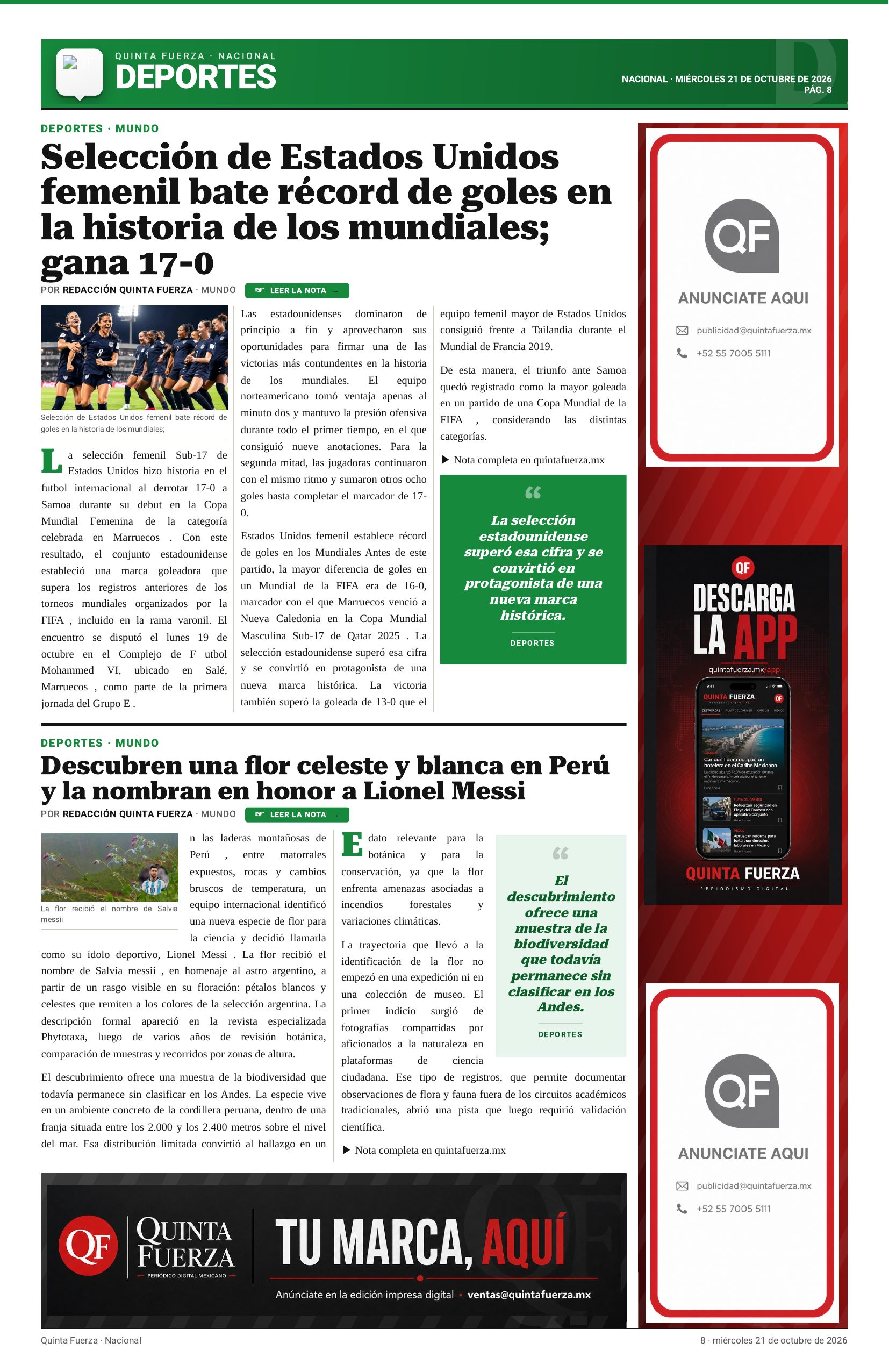 Página 8