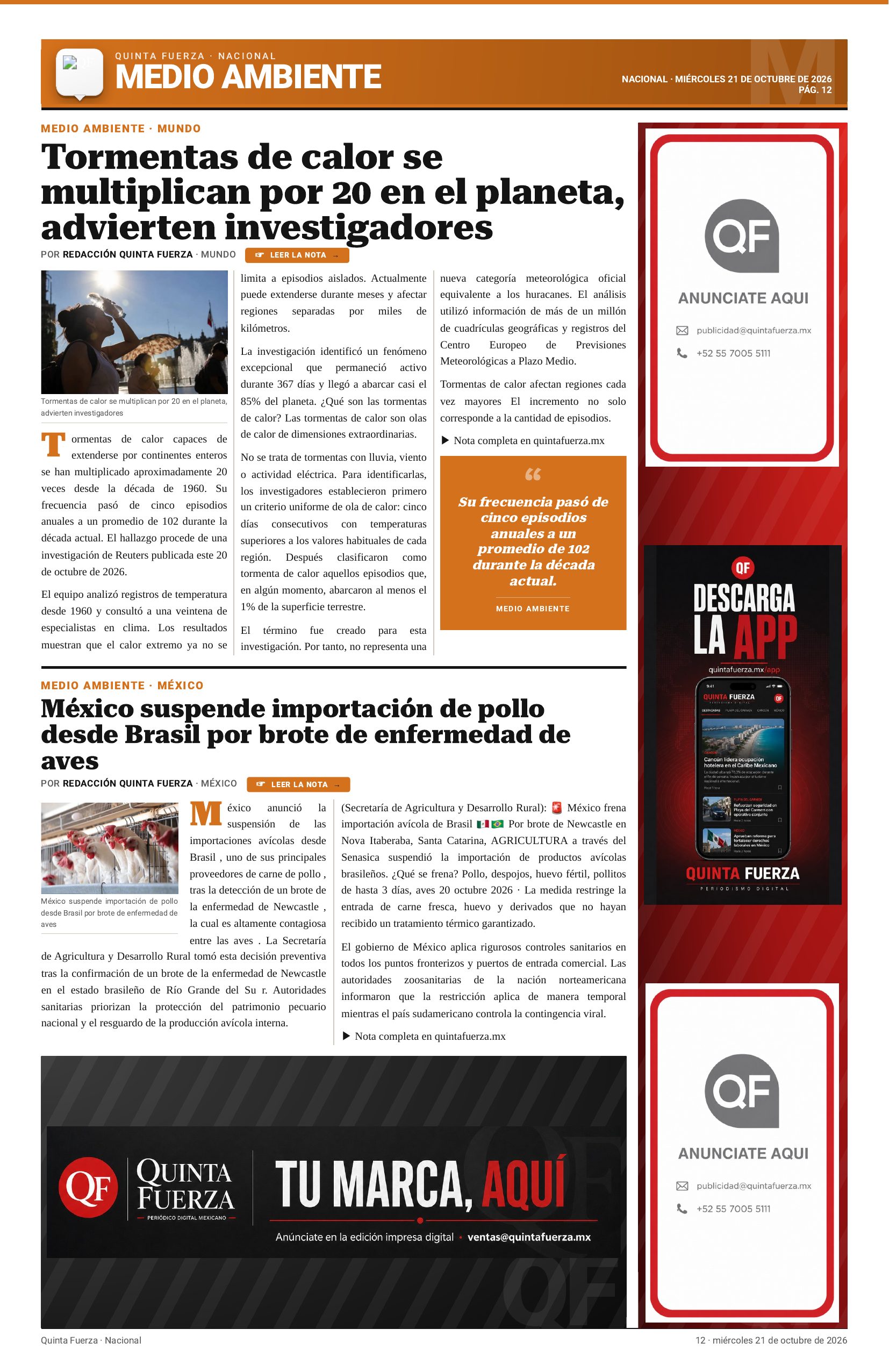 Página 12
