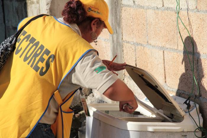 ‘Ataca’ el mosco del dengue en Q. Roo