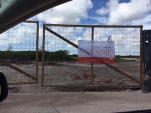 11873670_879537428789878_8720299609941083582_n