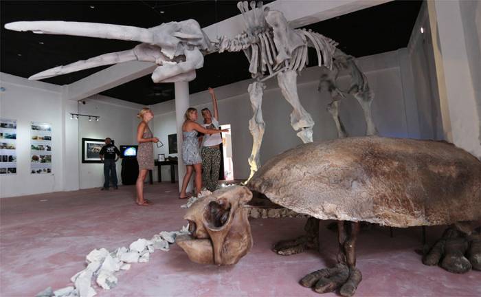 Naturalista playense dará plática en Cancún