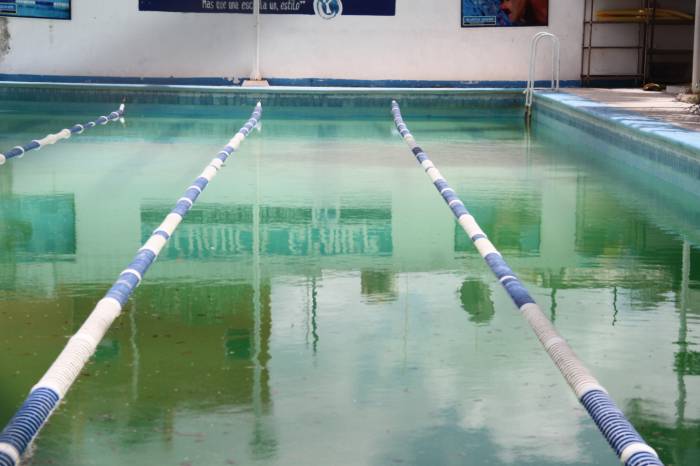 Se convierte alberca en criadero de moscos