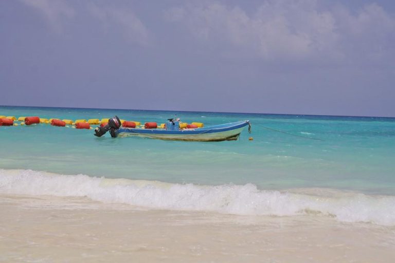 Cancún y Playa del Carmen; los destinos más buscados