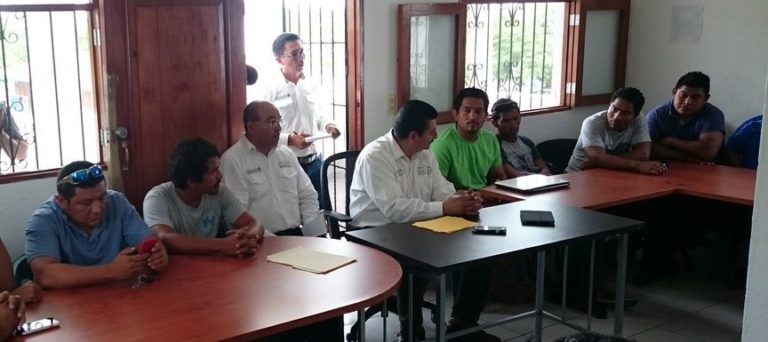 Refuerzan vigilancia de la tortuga marina en Bahía de Akumal