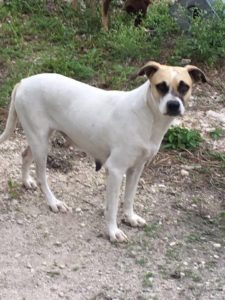 14055739_10153530755240904_1558135571_n