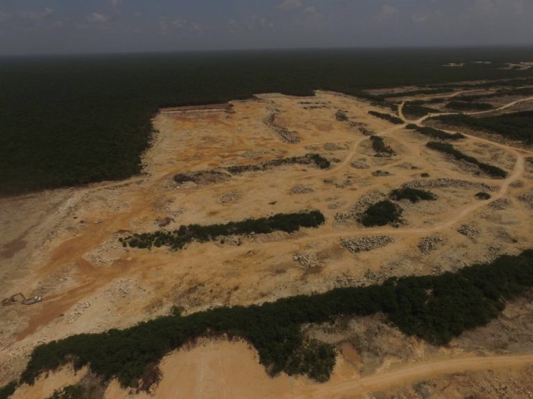 Continúa devastación de ABC en Balam-Tun