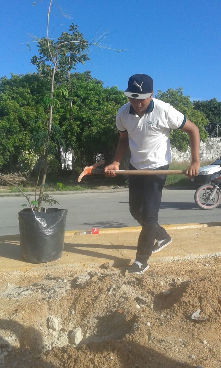 Alumnos del Conalep reforestan Playa del Carmen