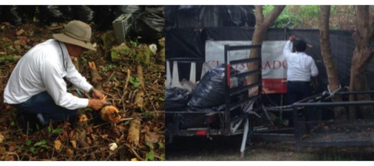 clausura PROFEPA predio en Playa del Carmen