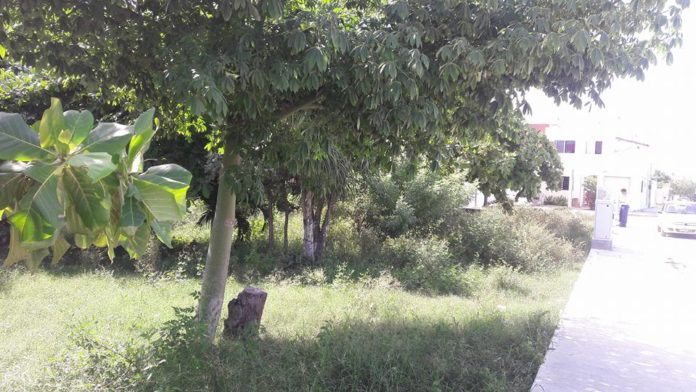 fraccionamiento Cataluña