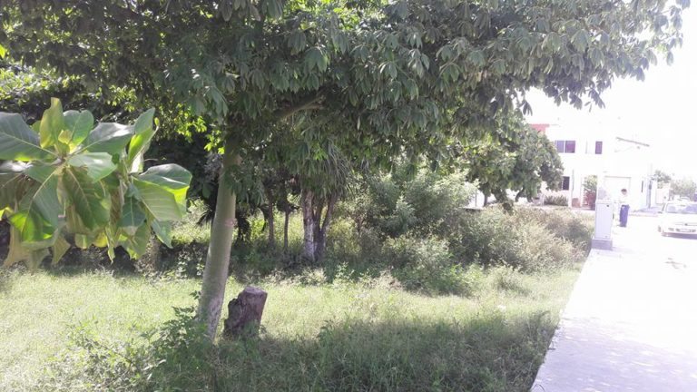 No cesa la inseguridad en el fraccionamiento Cataluña