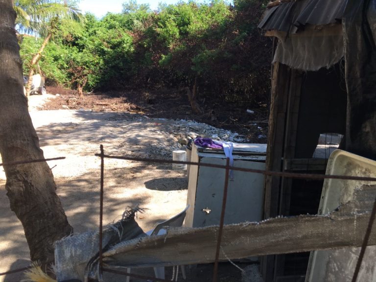 ecocidio en Playa del Carmen