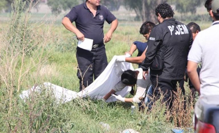 'Los crímenes bajan 32.1 % en Guerrero'