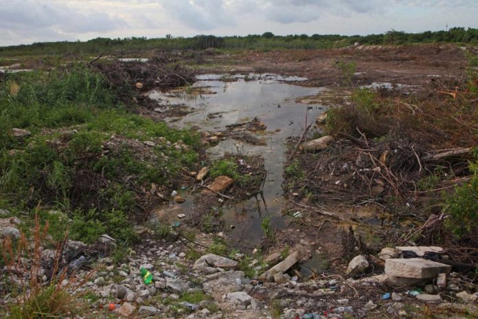 Rematan de manera ilegal predio El Paraíso