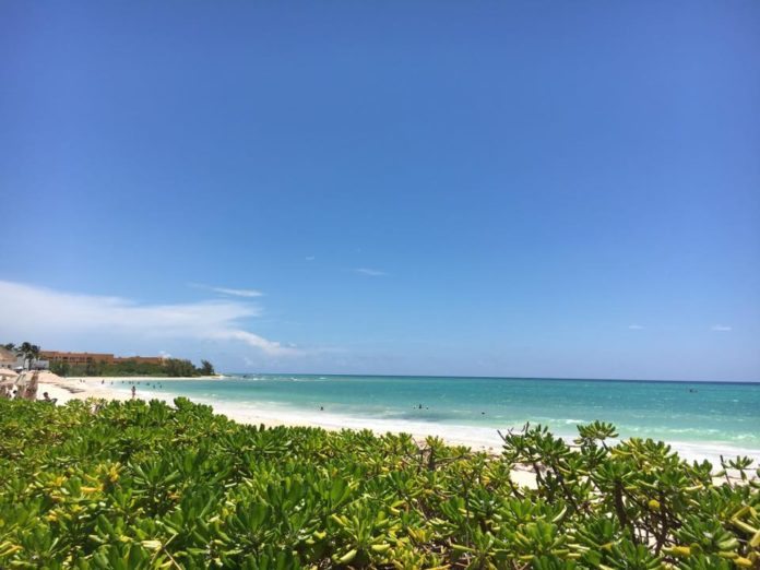 Se revisarán proyectos depredadores en Playa del Carmen