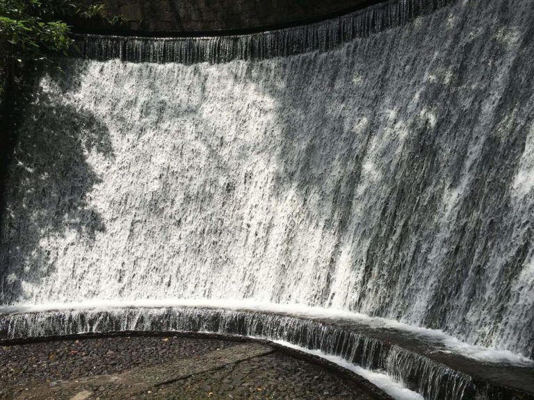 Parque de Uruapan, es un paraíso
