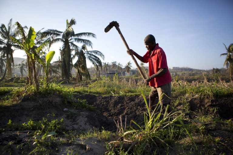 'Matthew' destruye agricultura de Haití – Quinta Fuerza