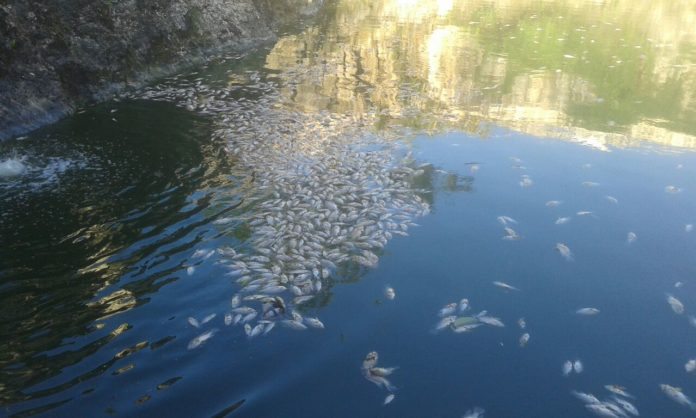 Marciano Toledo demandará a AGUAKAN por 5 mil millones de pesos