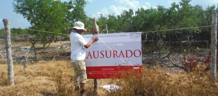 Clausura la PROFEPA predio en Holbox