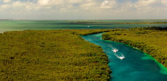 Reserva de la Biosfera del Caribe Mexicano