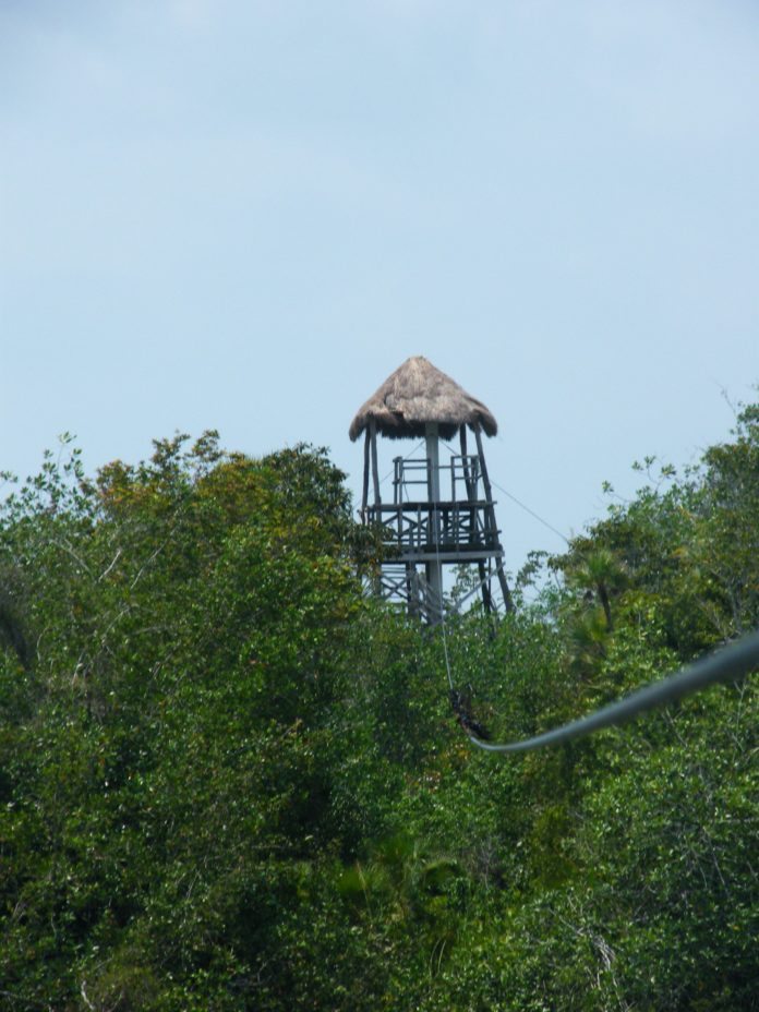 Área Natural Protegida