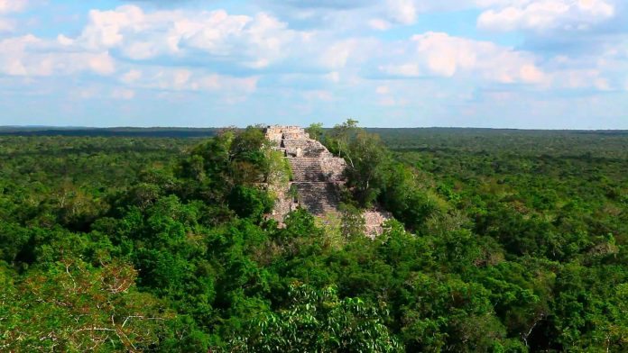 Selva Maya