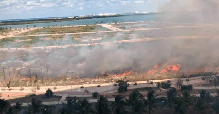 incendios forestales