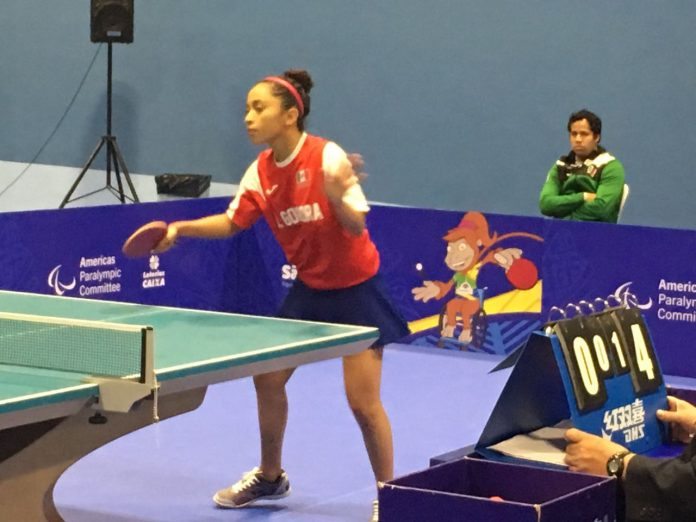 Juegos Parapanamericanos