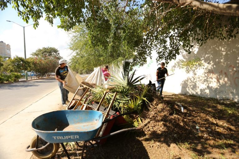 Limpian el municipio para conservar la imagen urbana de Solidaridad