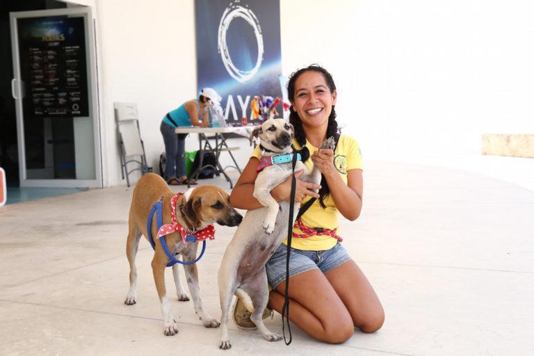 Promueve Gobierno de Solidaridad adopción de perros y gatos en Festival Capital Pet